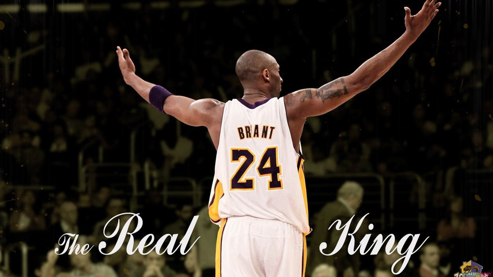 霍特·巴雷特：从全黑队新星到世界级球员，背后传球无与伦比，霍巴特英文